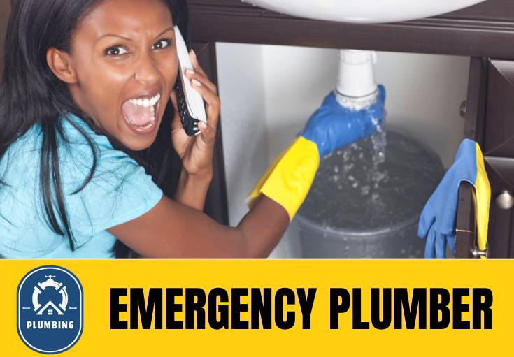 emergency plumber Deal